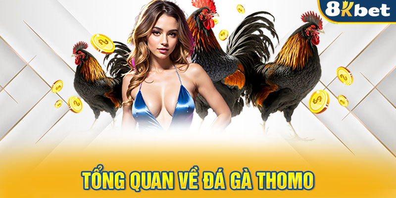 Tổng quan về đá gà Thomo